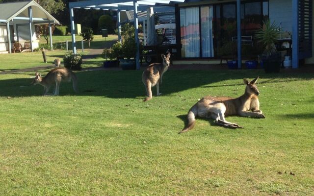 The Lotus Retreat at Horizons, Villa 136