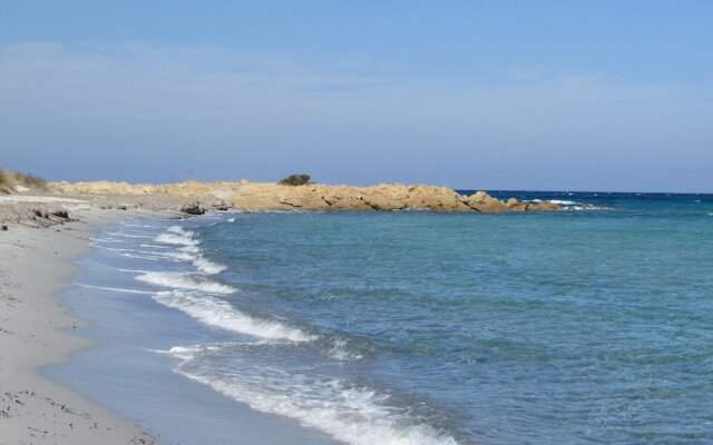 Cavalli di S'Arcaite