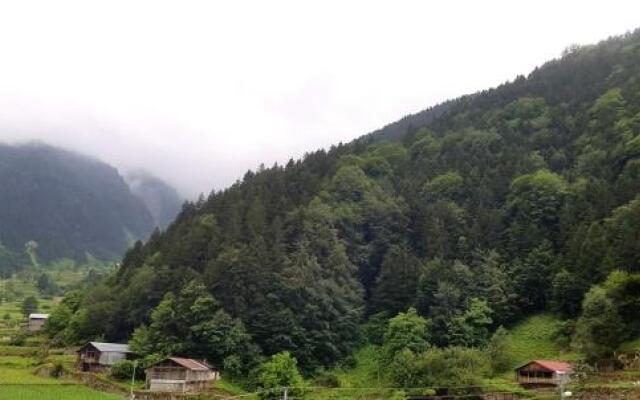 Talipoğlu Apart