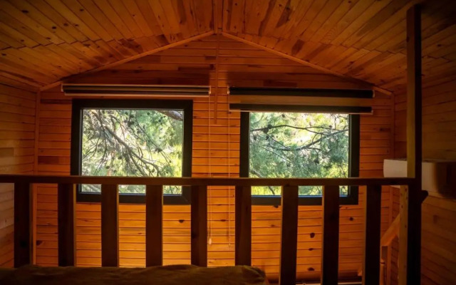Reflections Camp