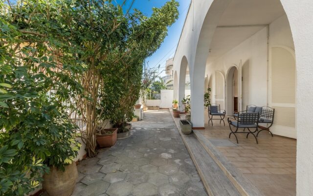 3821 VBR - Mono Rosa by Barbarhouse