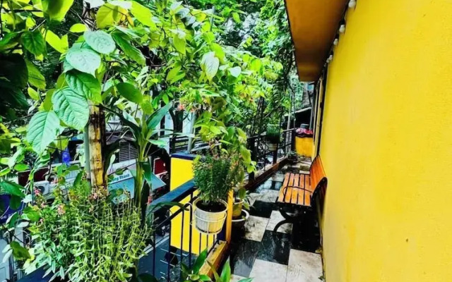 Autumn Hanoi House Bat Su