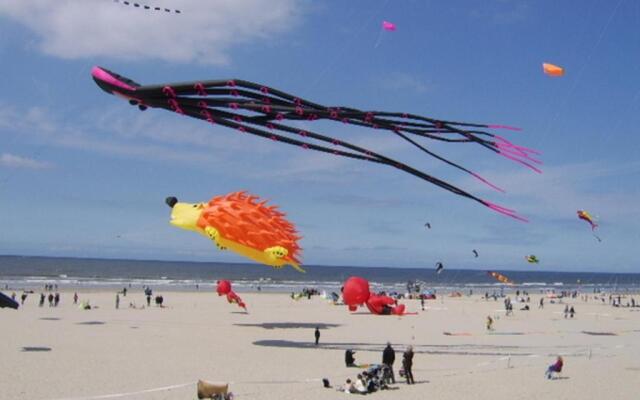 Appart 2-4 pers Berck-Plage Hyper-centre