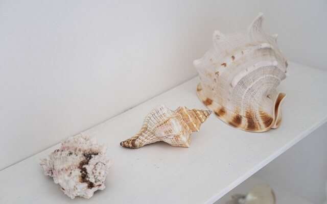 Appartamento La Musa