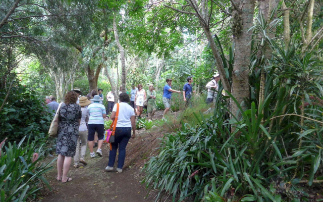 Wharepuke Subtropical Accommodation