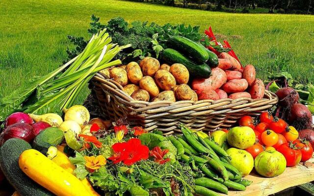 Ballylagan Organic Farm