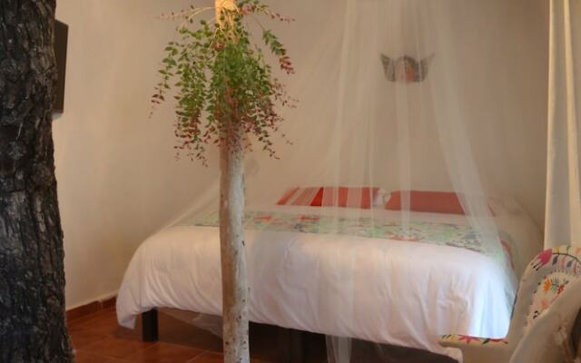 EV Riviera Maya Hotel Boutique Spa