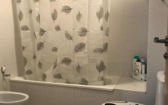Apartamento Camino de Santiago
