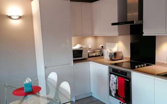 Beautiful and Modern Apartment in North London