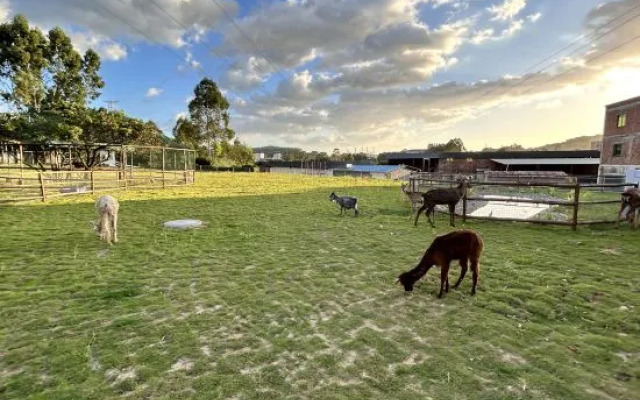 Zhangzhou Longjia Hotel
