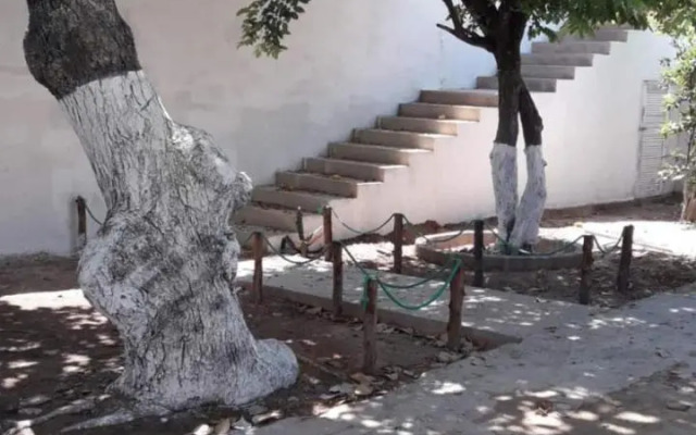 Suíte em Japaratinga com Vista do Mar