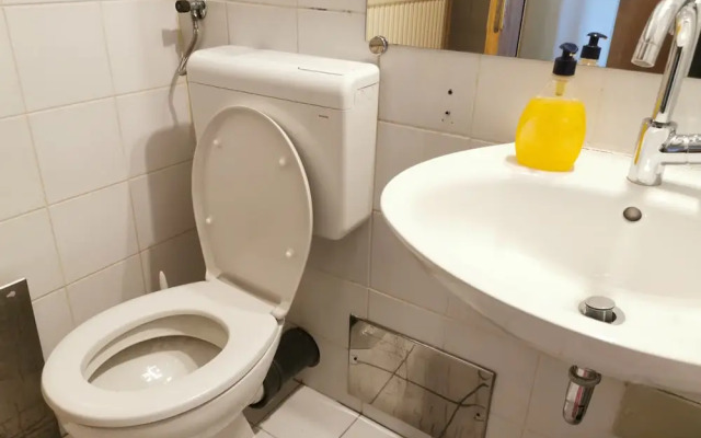 Dunajska Apartment