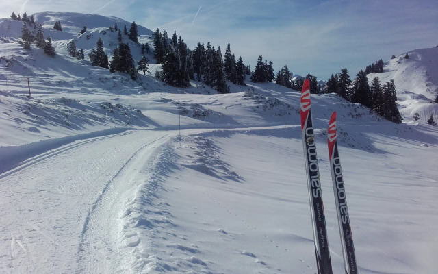 Chambres DHotes Au Vieux Logis