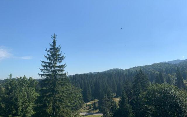 Silver Mountain G1 44