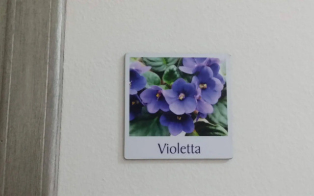 Villa Hibiscus