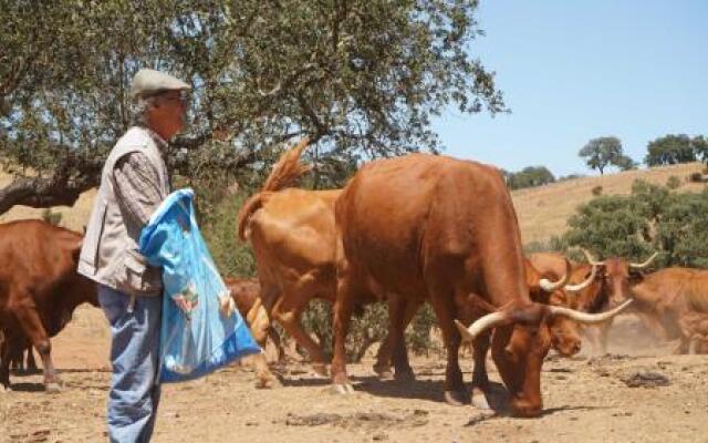 Agritourism Xistos