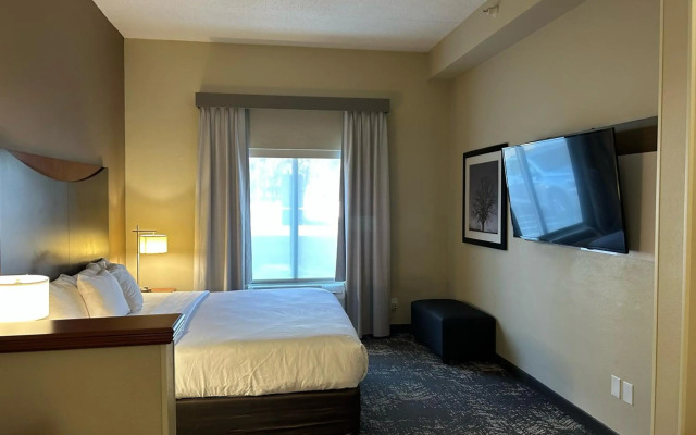 Comfort Suites Columbia at Harbison