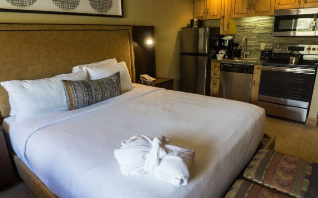 Studio with All of the Necessities by RedAwning