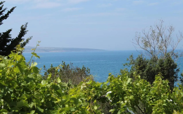 Apartments and rooms by the sea Povljana, Pag - 6476