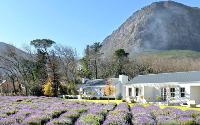 Lavender Farm Guest House