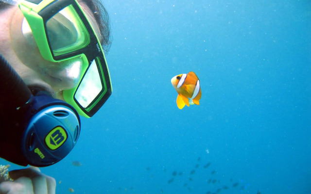 Blue Star Dive & Resort