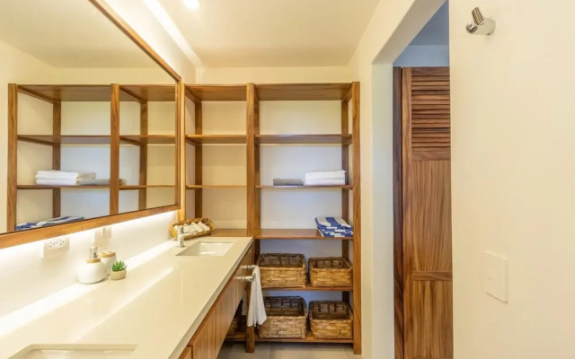 Agaves 204