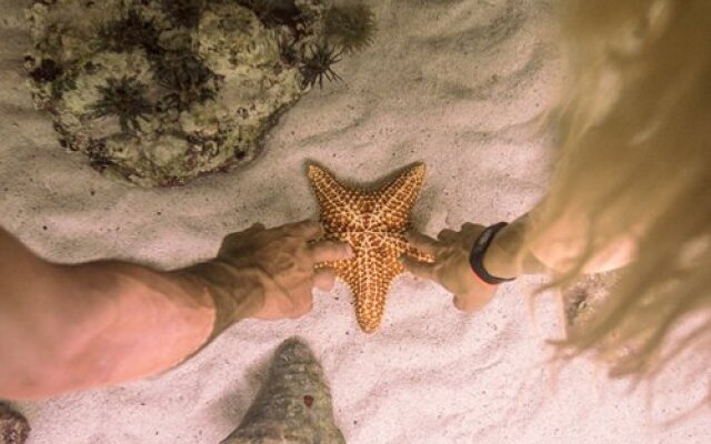 Xcaret Mexico Agua SPA Adults All Inclusive (Adults only)