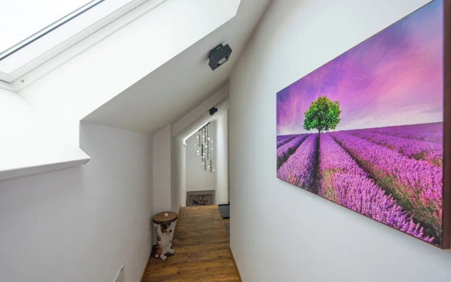 Apartmány Žakovce & SPA