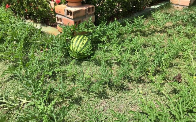 Hotel Pousada Rancho das Dunas