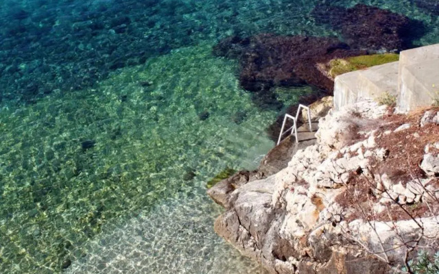Apartments with WiFi Trsteno, Dubrovnik - 9015