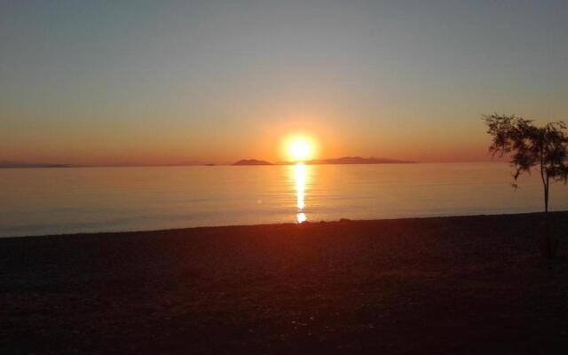 Sea waves apartments