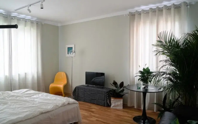 Cactus space- Sanlitun Artistic Elegance Apartment