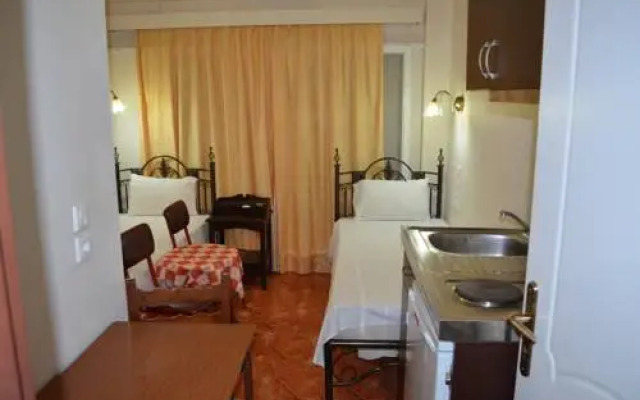 Palatino Studio