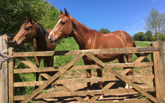 Pardlestone Farm: B&B