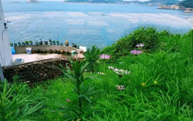 Shengsi wolfberry Shengshan Island Youth Hostel