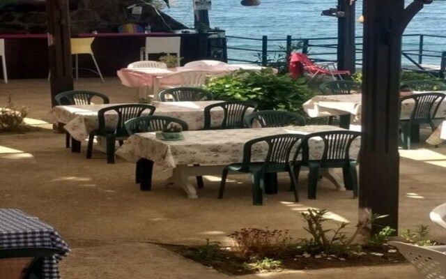 BO093 by Villaofsummer