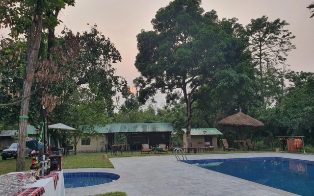Temple Tiger Green Jungle Resort