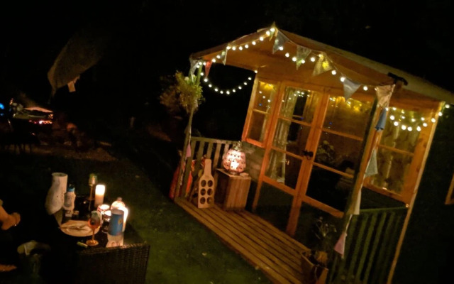 Glamping With Llamas