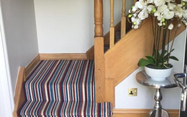 Buttercup House Bed and Breakfast