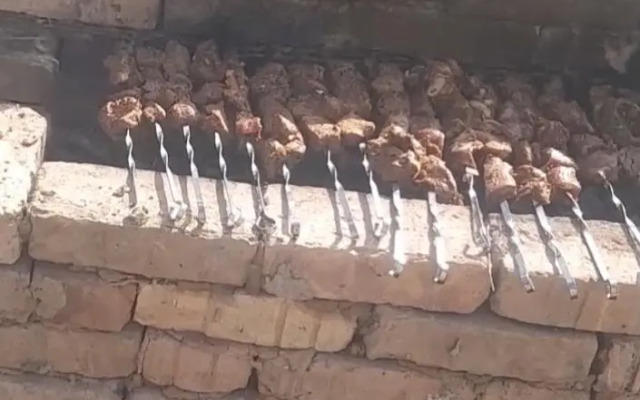 Waterfall in the yard