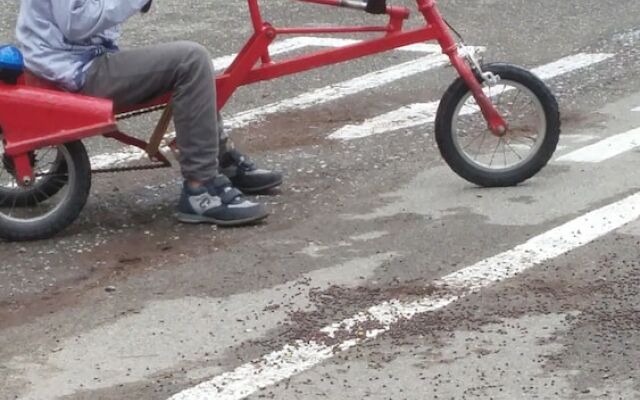 B&B Casalilli Cinque Terre