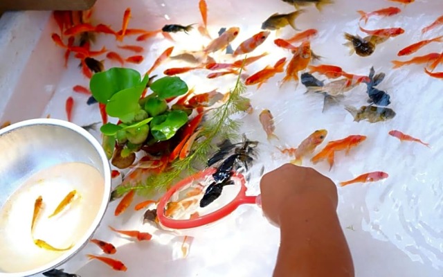 Stay SAKURA Tokyo ART DECO HOTEL