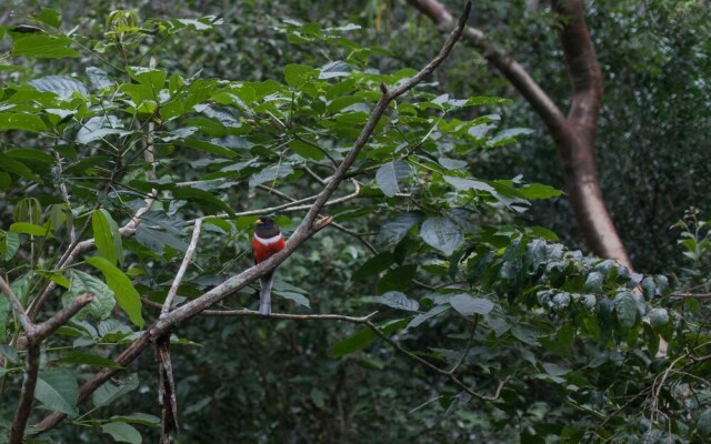 Equilibrium Healing Resort