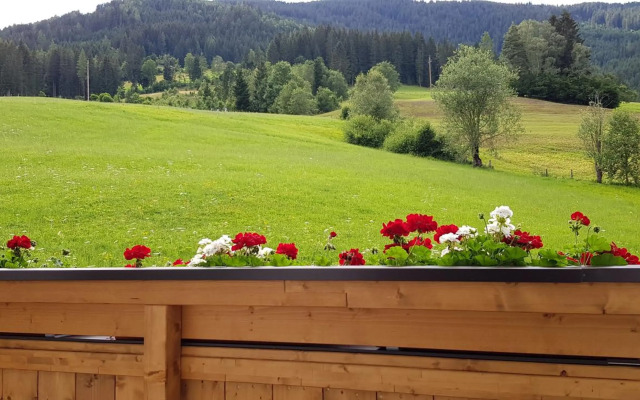 Appartement Bergpanorama