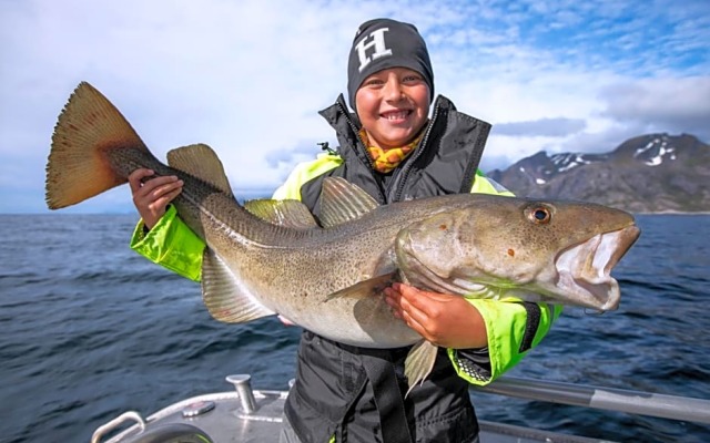 Lofoten Rorbu Lodge