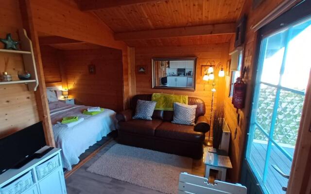 The Cabin with the View (Adults Only)