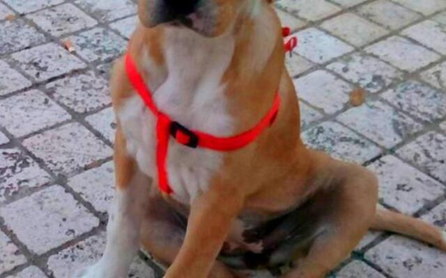 Paradise Beach Hostel