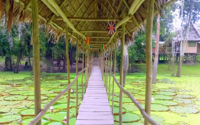 Avatar Amazon Lodge & Canopy Park