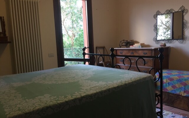 Uliveto del Tesoro