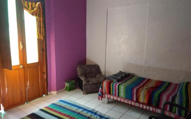 Iguana Hostel Oaxaca